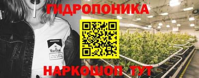 дурь Берёзовский