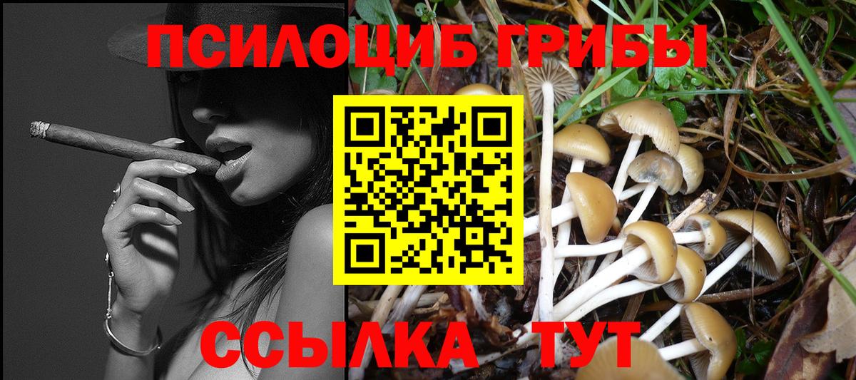 Псилоцибиновые грибы Cubensis Гагарин